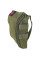 Підсумок IFAK Rip-Away (PRO Series) колір ОЛИВА 20x15x5 см з Кордури 1000D кріплення MOLLE, PRO-Aptechka